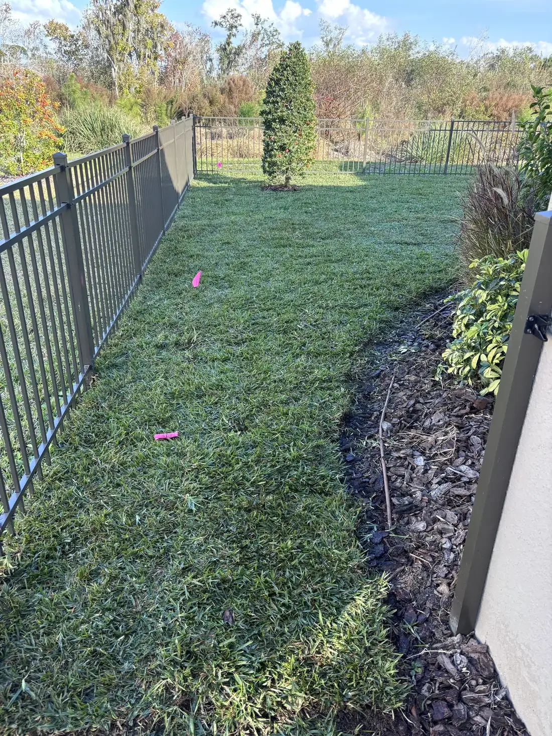 Sod Installation